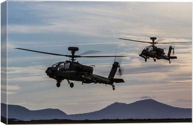  Apache hunter pair Canvas Print by P H