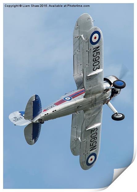  Gloster Gladiator Mk.II N5903 (G-GLAD) Print by Liam Shaw