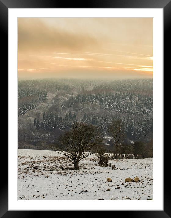 Winter in Goyt Valley Framed Mounted Print by Laura Kenny