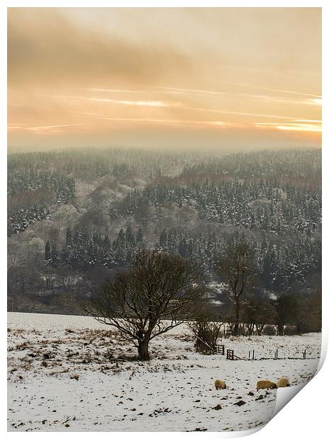 Winter in Goyt Valley Print by Laura Kenny