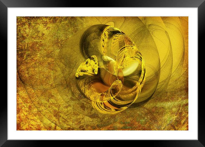 Golden Snake Framed Mounted Print by Mary Lane