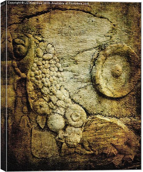 Ancient Stone Carving  Canvas Print by LIZ Alderdice