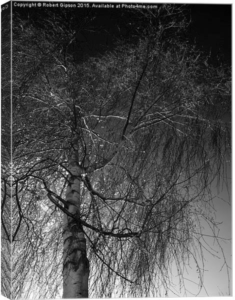  Tree against a dark English sky Canvas Print by Robert Gipson