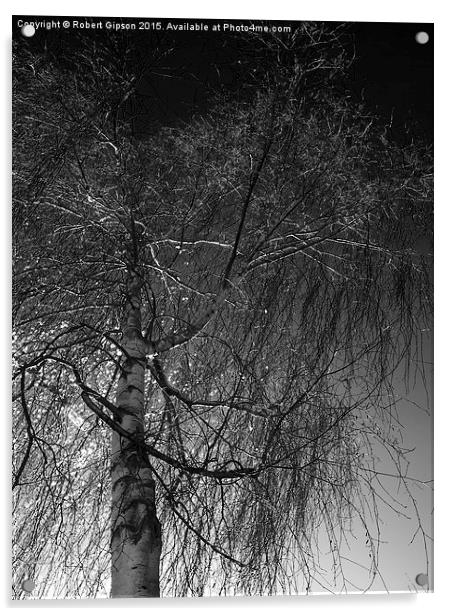  Tree against a dark English sky Acrylic by Robert Gipson