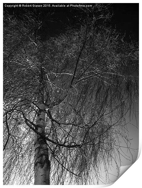  Tree against a dark English sky Print by Robert Gipson