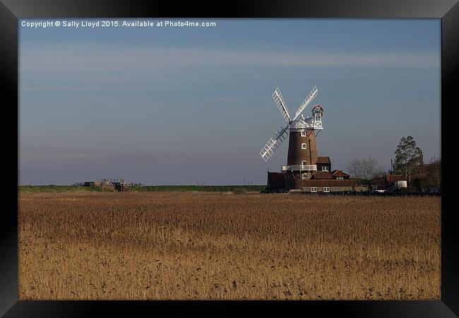  Cley Windmill north Norfolk  Framed Print by Sally Lloyd