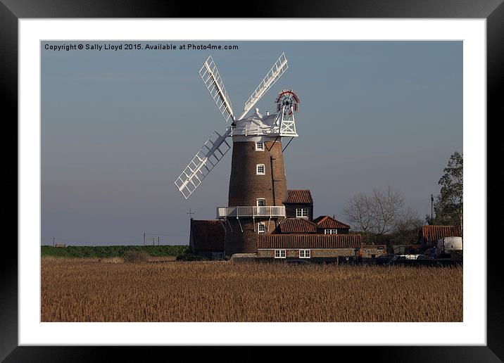  Cley Windmill north Norfolk  Framed Mounted Print by Sally Lloyd