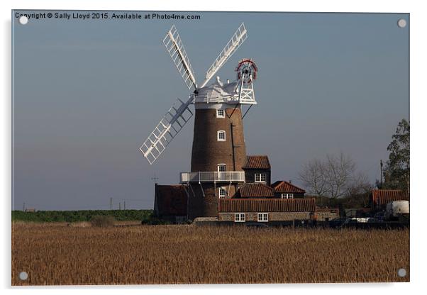  Cley Windmill north Norfolk  Acrylic by Sally Lloyd