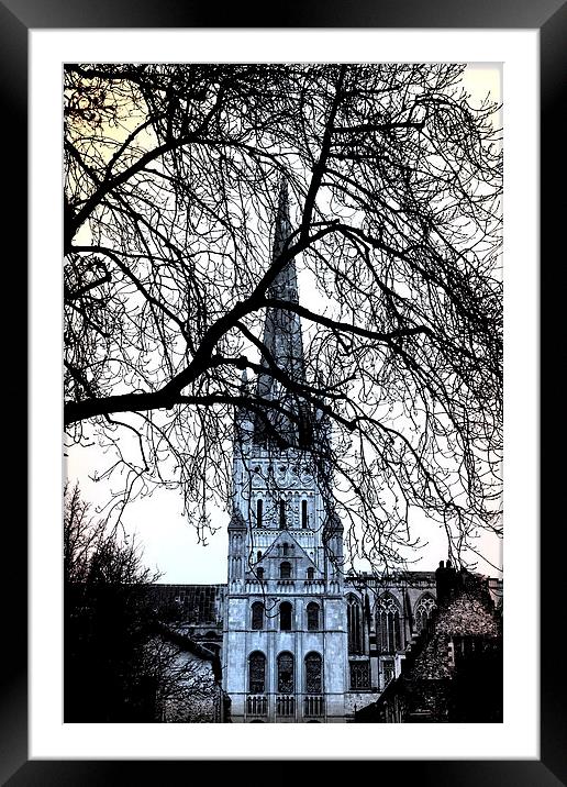  Norwich Cathedral Norfolk UK Framed Mounted Print by Sally Lloyd