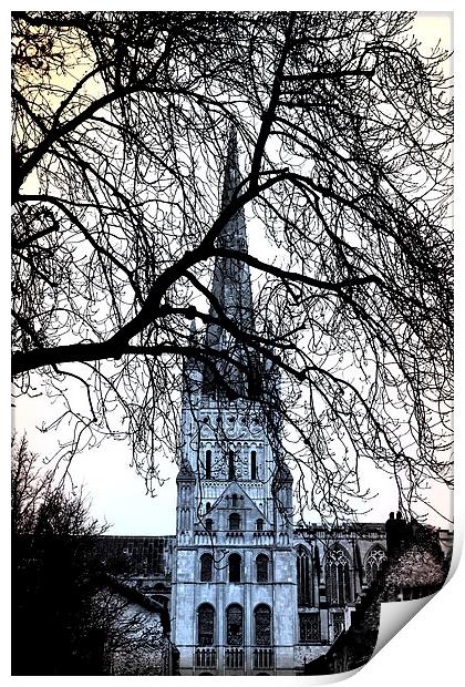  Norwich Cathedral Norfolk UK Print by Sally Lloyd