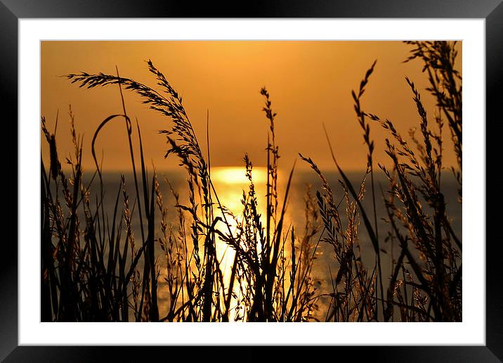  Summer's Bliss Framed Mounted Print by Colin Askew