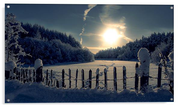  Winter Afternoon Acrylic by Mark Denham