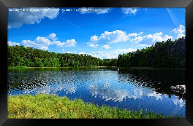  Small Moorland Lake Framed Print by Gisela Scheffbuch