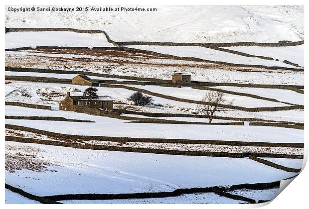  Isolation Of A Yorkshire Dales Winter Print by Sandi-Cockayne ADPS