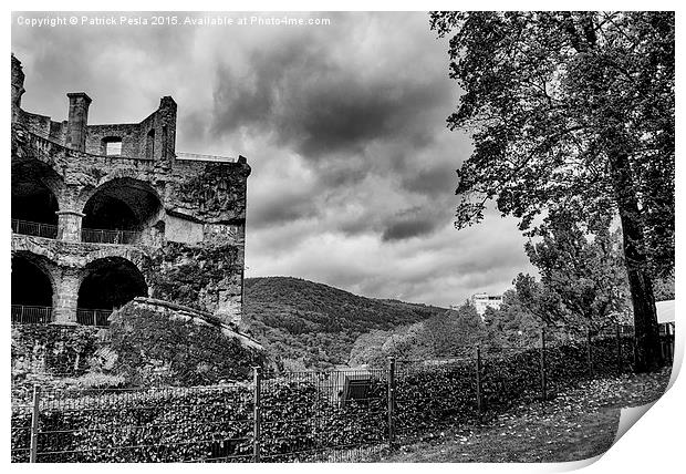  Heidelberg Castle Print by Patrick Pesla