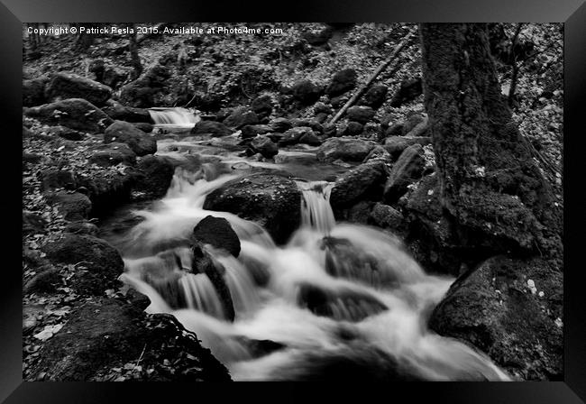  Black Forest Creek Framed Print by Patrick Pesla