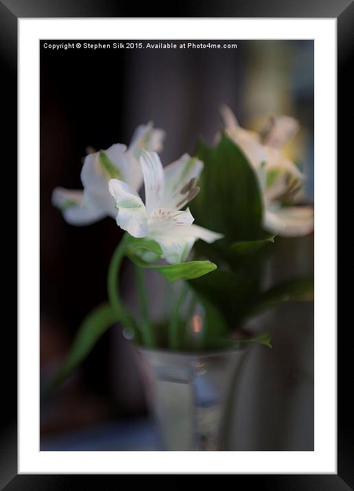  Lilies on the Orient Express Framed Mounted Print by Stephen Silk