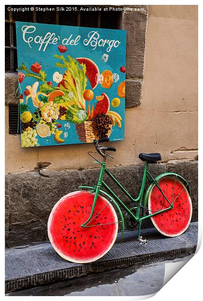  Bicycle with Melon Wheels Print by Stephen Silk