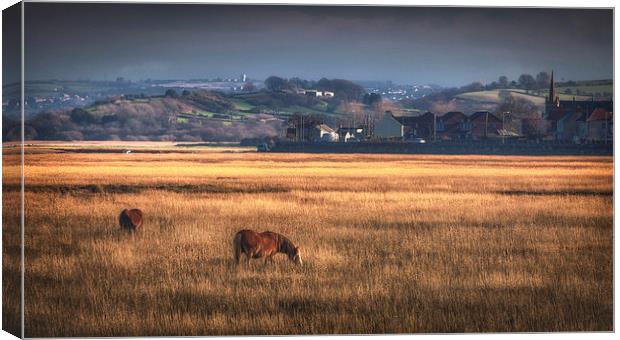 Marsh ponies at Penclawdd village Canvas Print by Leighton Collins