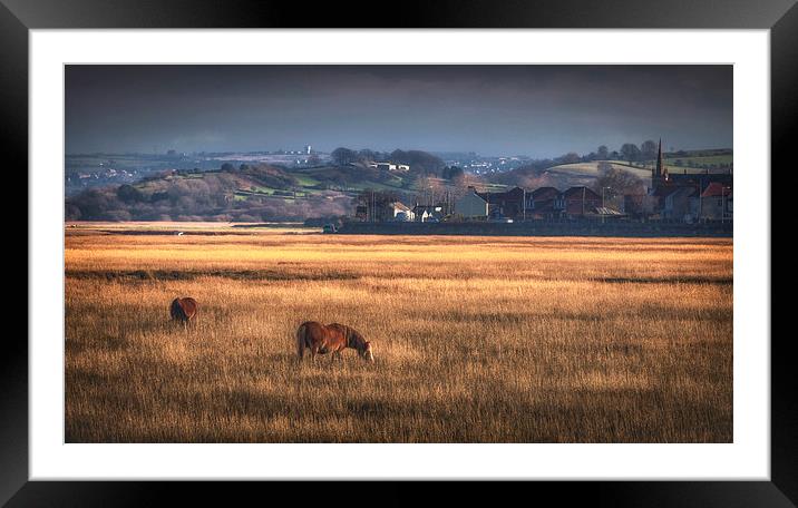 Marsh ponies at Penclawdd village Framed Mounted Print by Leighton Collins