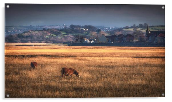 Marsh ponies at Penclawdd village Acrylic by Leighton Collins
