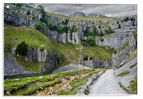 The Approach to Malham Cove Acrylic by Colin Metcalf