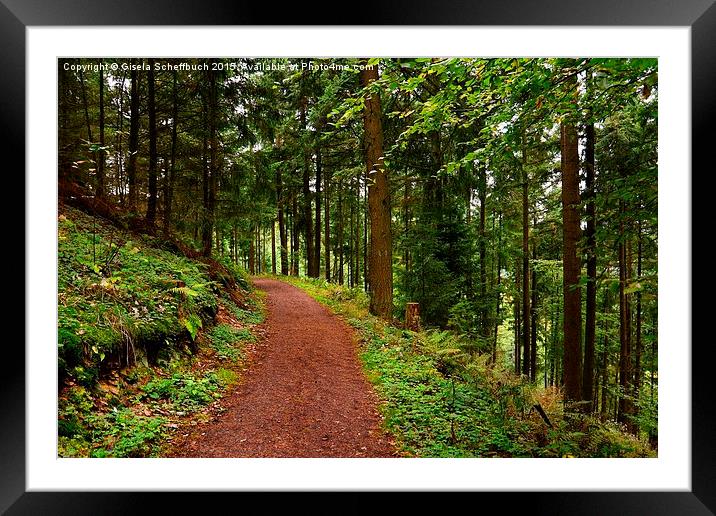 Forest Path Framed Mounted Print by Gisela Scheffbuch