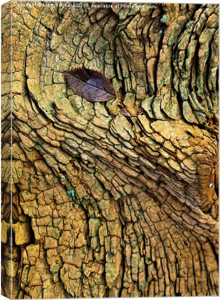 Decaying Tree Abstract Canvas Print by Martyn Arnold