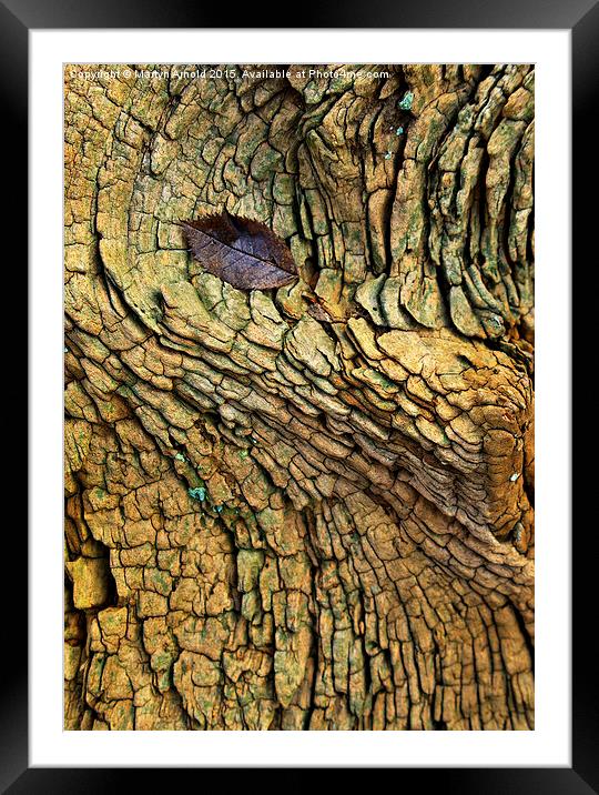 Decaying Tree Abstract Framed Mounted Print by Martyn Arnold