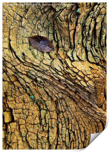 Decaying Tree Abstract Print by Martyn Arnold