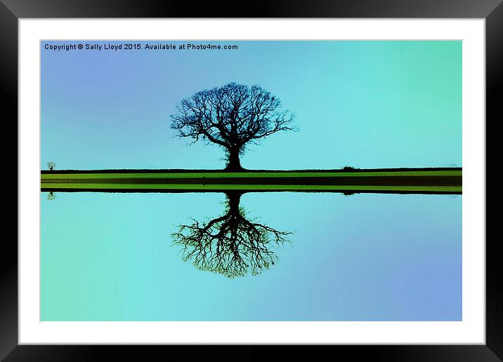 Solitary tree in blue symmetry Framed Mounted Print by Sally Lloyd