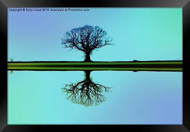 Solitary tree in blue symmetry Framed Print by Sally Lloyd