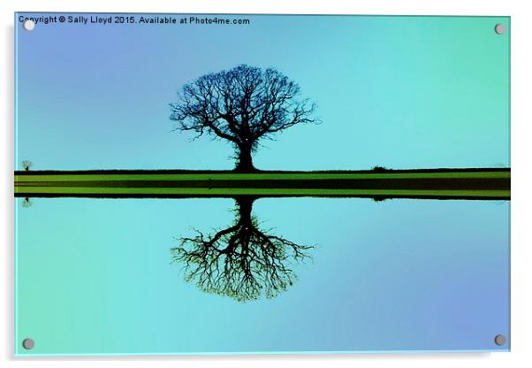 Solitary tree in blue symmetry Acrylic by Sally Lloyd