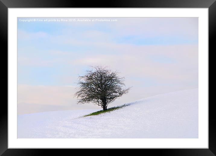 Simplicity in itself Framed Mounted Print by Fine art by Rina