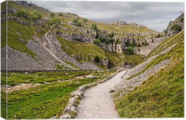 The Approach to Malham Cove Canvas Print by Colin Metcalf
