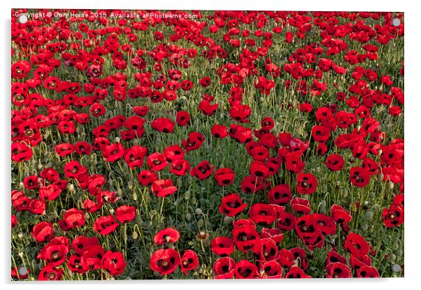 The Fields of Remembrance Acrylic by Gary Horne