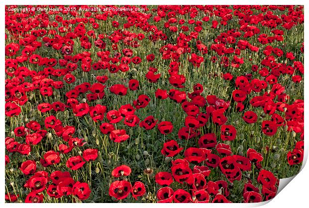 The Fields of Remembrance Print by Gary Horne
