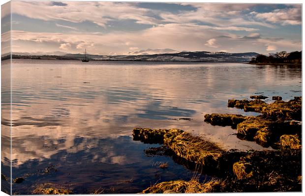 Beauly Firth Winter Afternoon Canvas Print by Jacqi Elmslie