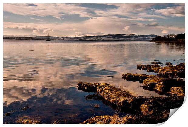 Beauly Firth Winter Afternoon Print by Jacqi Elmslie