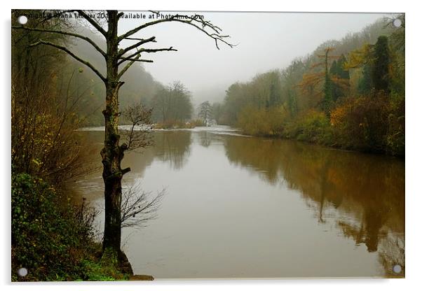 The river Wye Symonds Yat  Acrylic by Diana Mower
