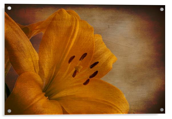 Yellow Lilium flower with texture overlay Acrylic by Eddie John