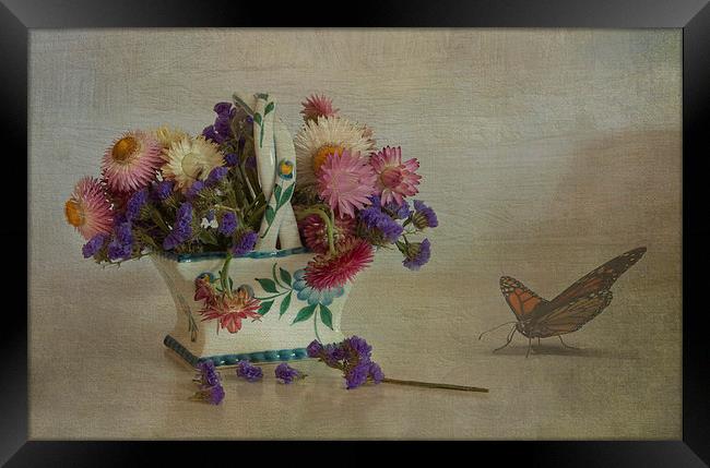Everlasting flowers in vase with butterfly Framed Print by Eddie John
