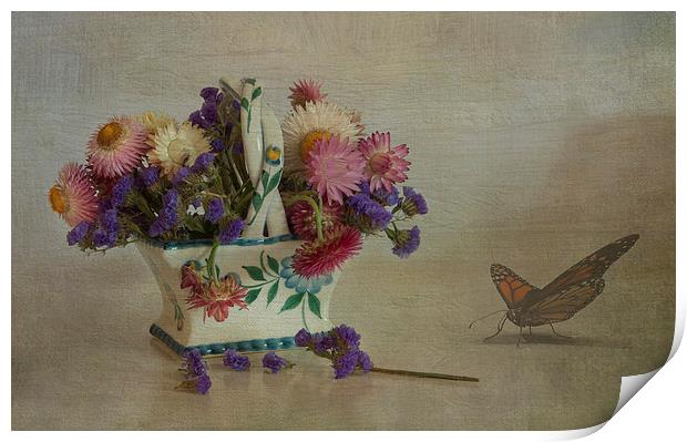 Everlasting flowers in vase with butterfly Print by Eddie John