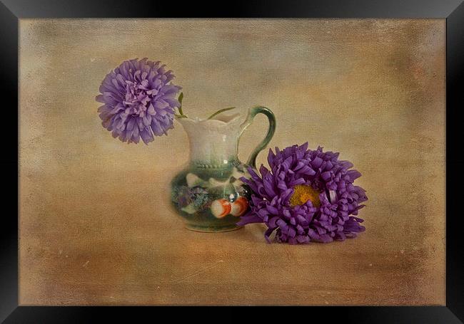 Purple asters with textured finish  Framed Print by Eddie John