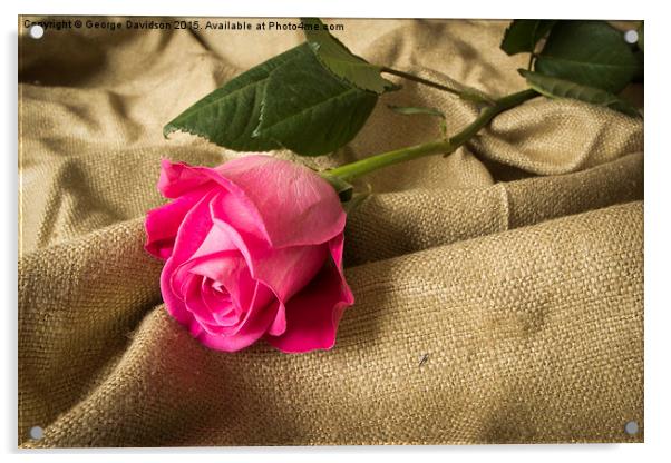 Rosy Acrylic by George Davidson