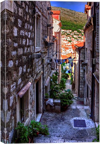 Residential Street in Dubrovnik Canvas Print by Tom Gomez