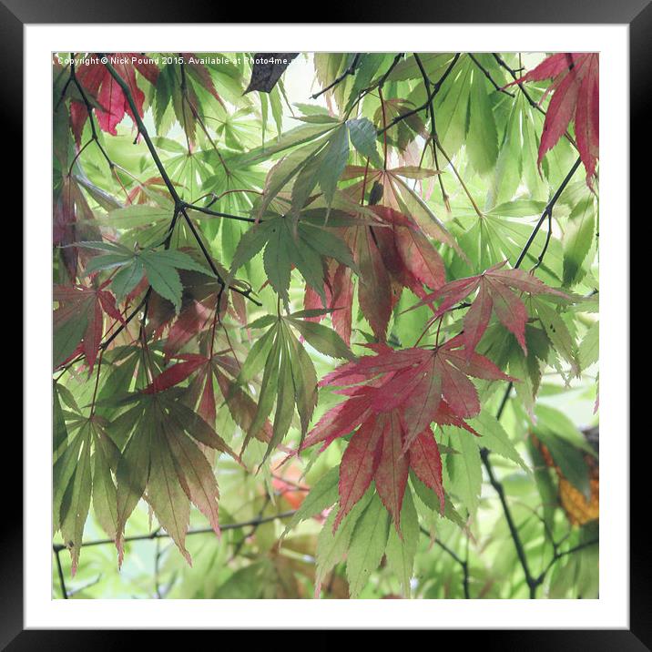 Approaching Autumn Framed Mounted Print by Nick Pound