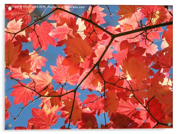 Autumn Leaves  Acrylic by Nick Pound