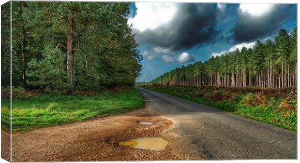 Following the Road Canvas Print by Simon Tuck