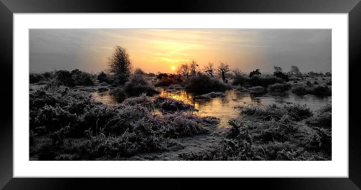  A crisp fresh New Forest in January. Image by JCs Framed Mounted Print by JC studios LRPS ARPS